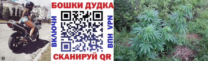 Наркотические вещества Ладушкин Гашиш  Конопля  СК  Меф 